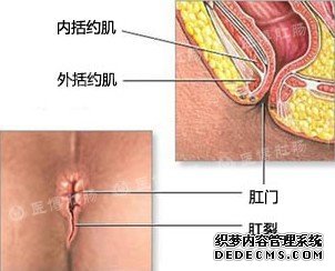 福州那里看肠道好